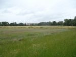 THE MEADOWS SALFORD